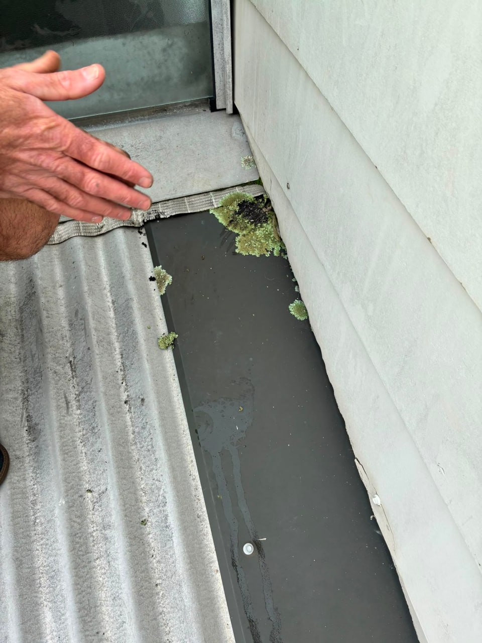 Gap at roof-to-wall junction with moss growth indicating moisture